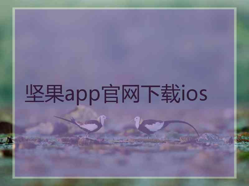 坚果app官网下载ios